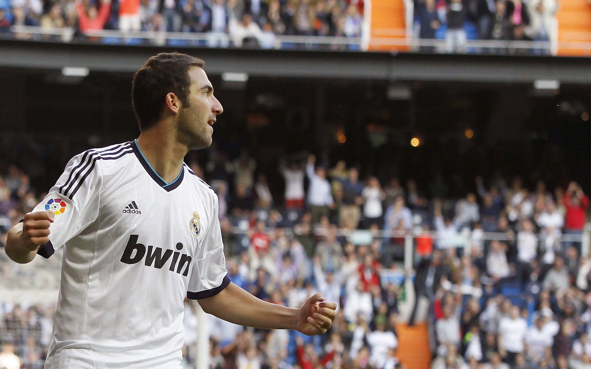 最后冲刺:奋战到底,勇夺季后赛?,最后冲刺 完美收官